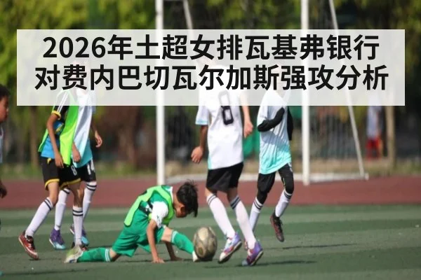 2026年土超女排瓦基弗银行对费内巴切瓦尔加斯强攻分析 | kaiyun sports